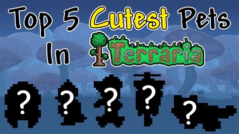 cutest pet in terraria.